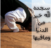 الصورة الرمزية شاكر الرحمن2009